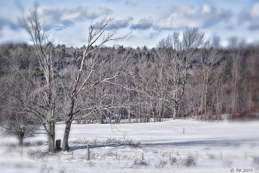 Wide-Open Winter Field Photograph by Richard Bean