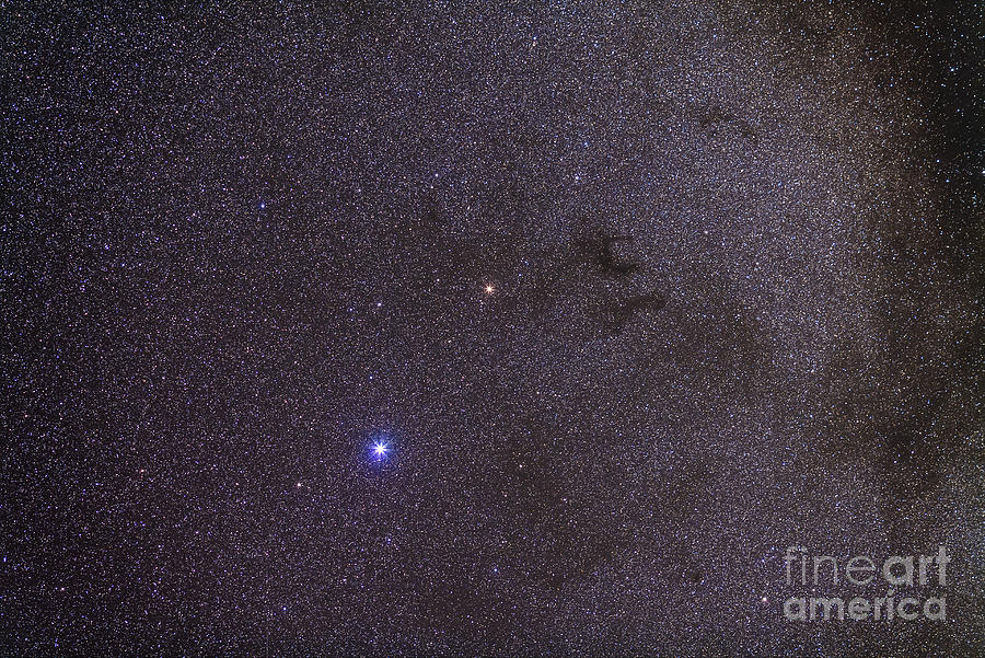 Space Photograph - Widefield View Of Dark Nebulae by Alan Dyer