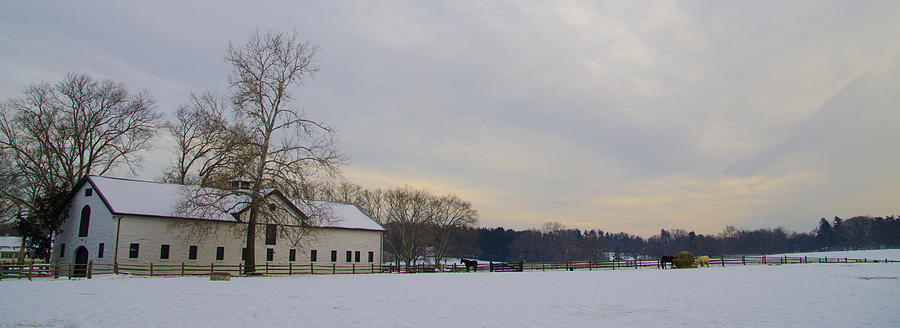Winter Photograph - Widener Horse Farm Panorama by Bill Cannon
