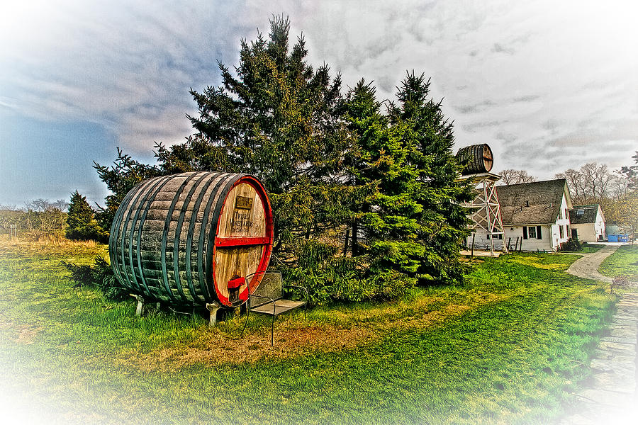 Wine Making On Cape Cod Truro Vineyard Photograph by Constantine Gregory