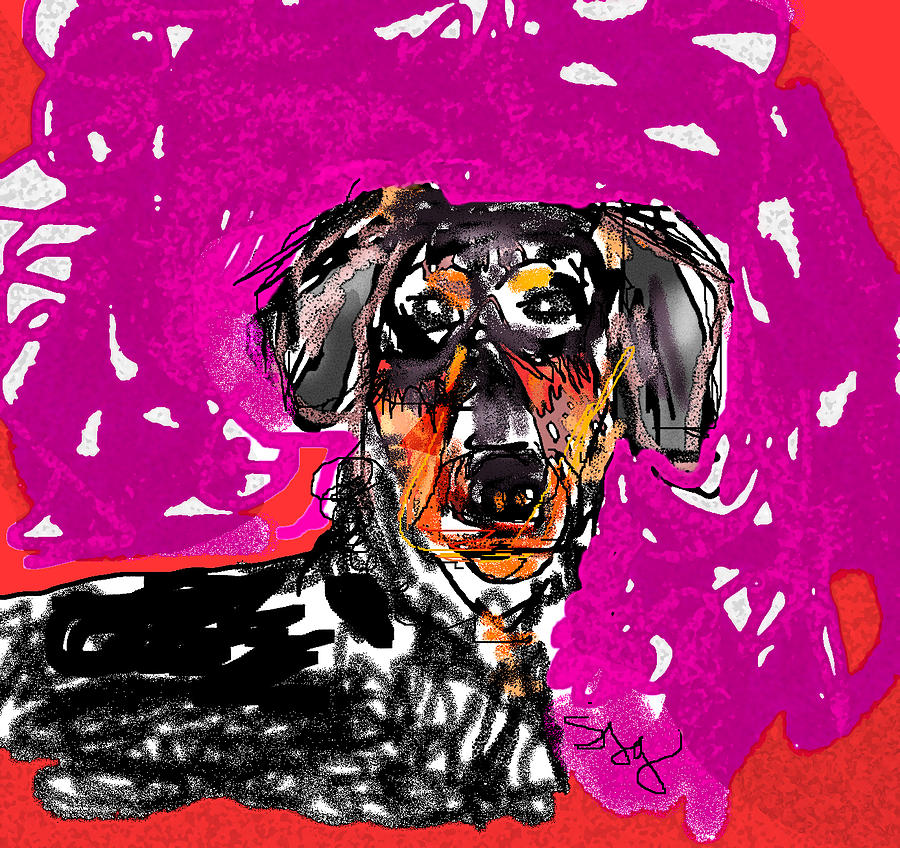 Wiener dog Digital Art by Joyce Goldin - Pixels