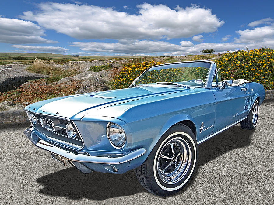 Wild and Free 1967 Mustang Convertible Photograph by Gill Billington