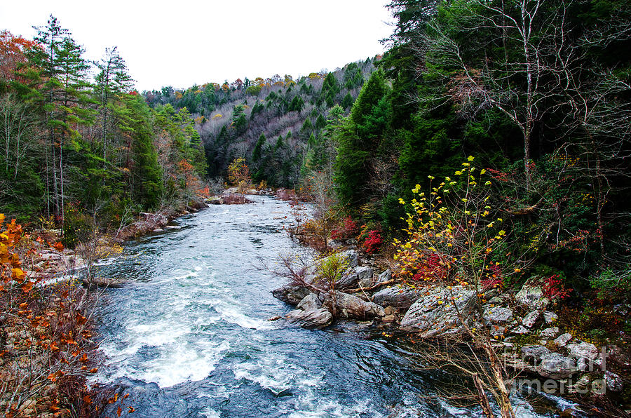 Wild And Scenic Obed River Photograph by Paul Mashburn