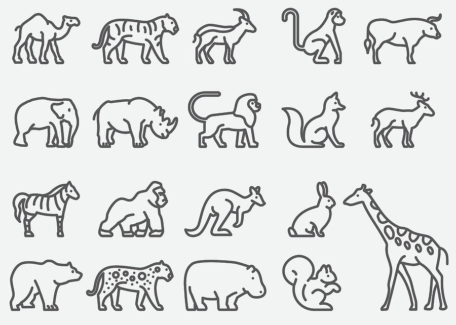 Wild Animals Line Icons Drawing by LueratSatichob