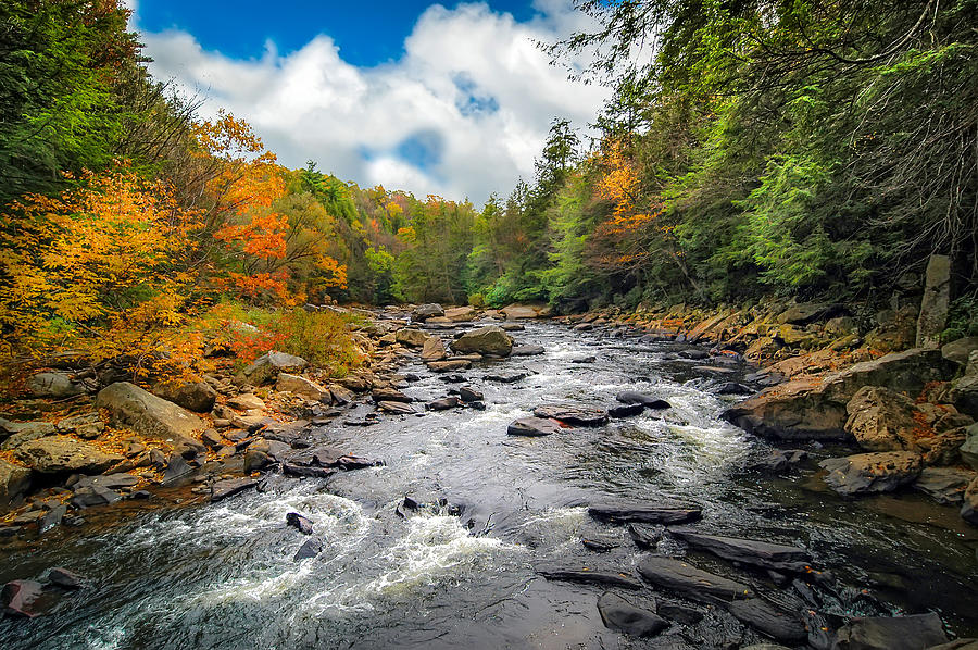 Wild Appalachian River Photograph by Patrick Wolf