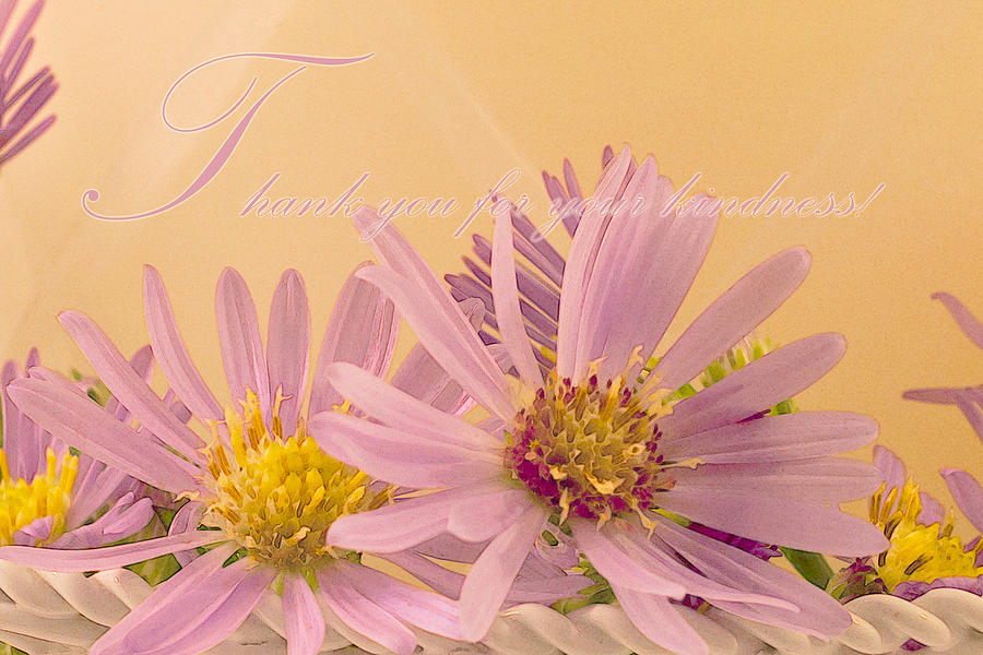 Wild Asters - Thank You For Your Kindness Card Photograph by Sandra Foster