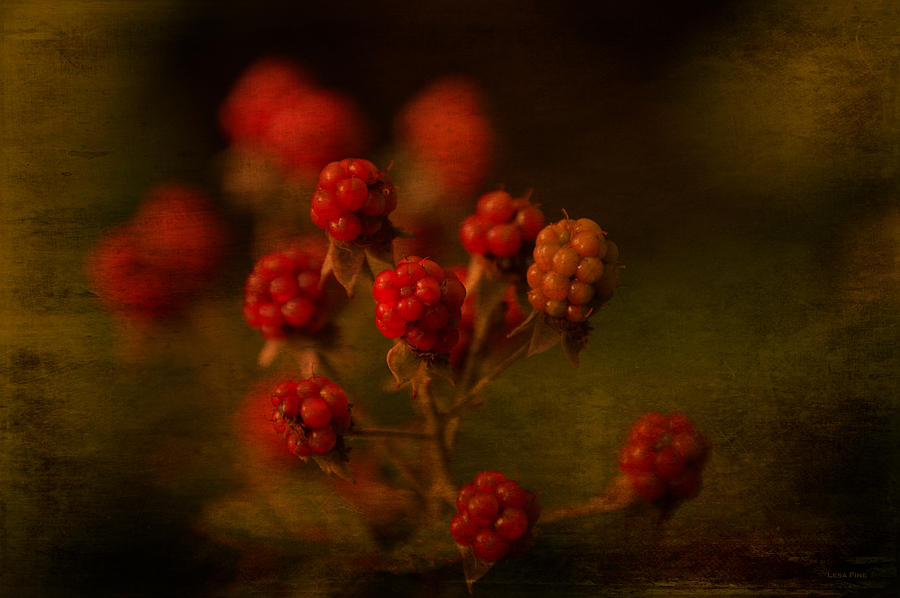 Wild Blackberries Waiting to Ripen by Lesa Fine Mixed Media by Lesa Fine