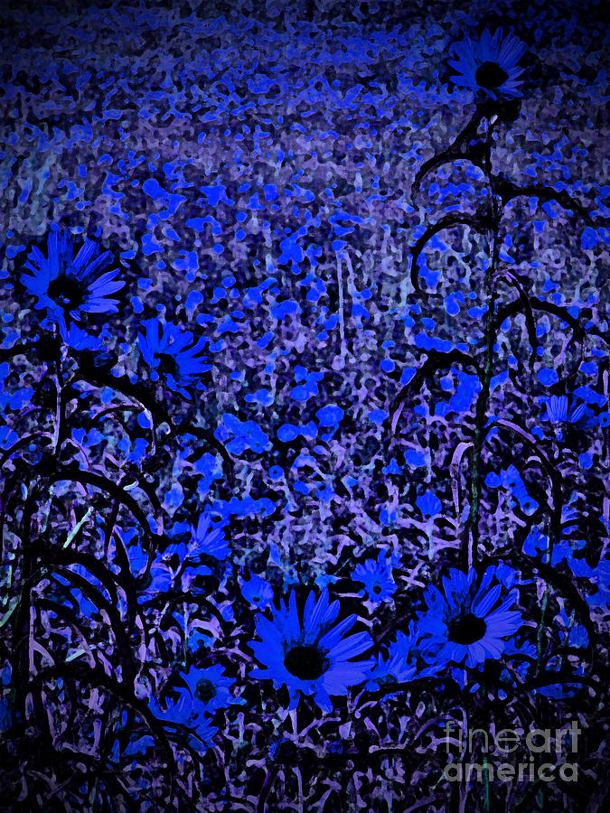 Wild Blue Flower Field Abstract Photograph