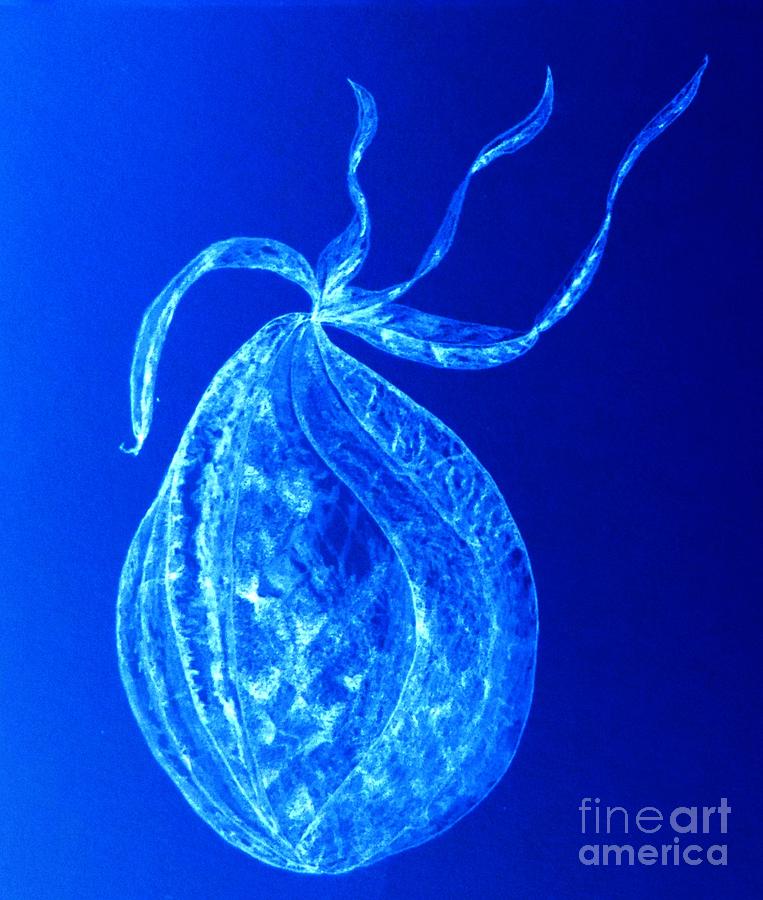 Wild Blue Fruit Drawing by Laura Hamill