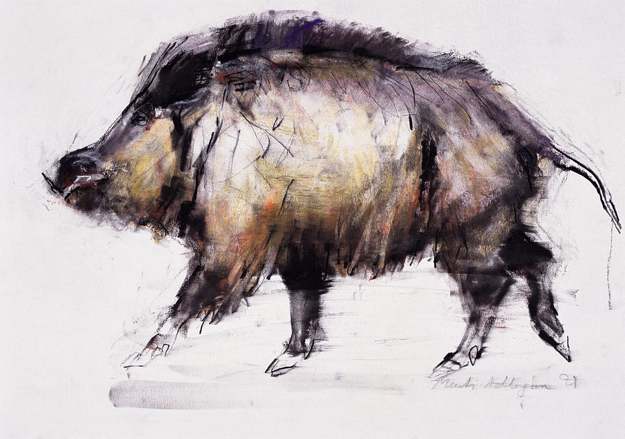 Wild Boar Painting by Mark Adlington