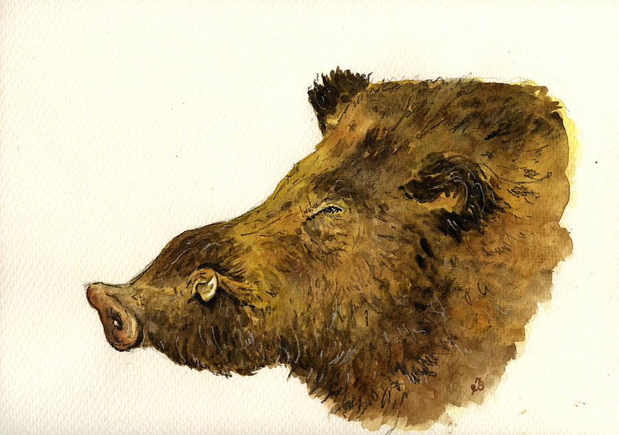 Wildlife Painting - Wild boar head study by Juan  Bosco