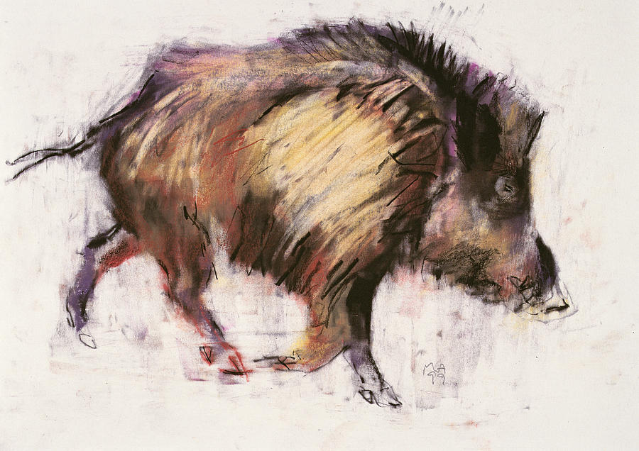 Pig Painting - Wild Boar Trotting by Mark Adlington
