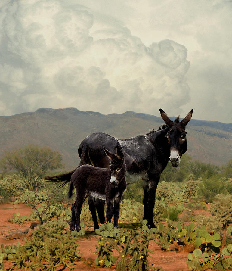 Animal Painting - Wild Burros from the Gold Rush by Spadecaller