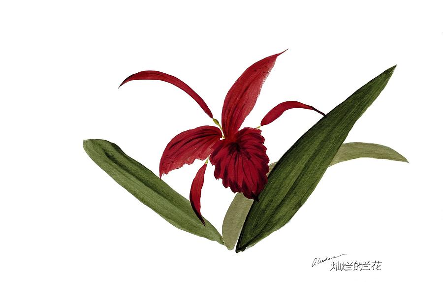 Wild Chinese Orchid #3 Painting by Alethea M