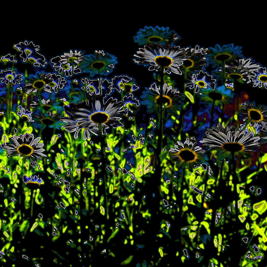 Wild Daisies IV Photograph by David Patterson