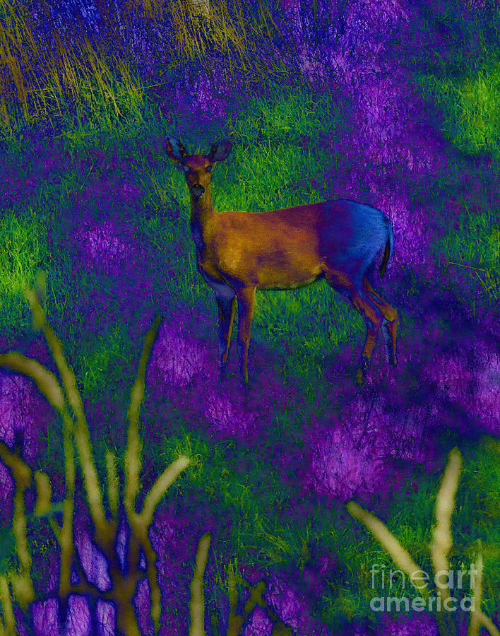 Wild Deer Digital Art