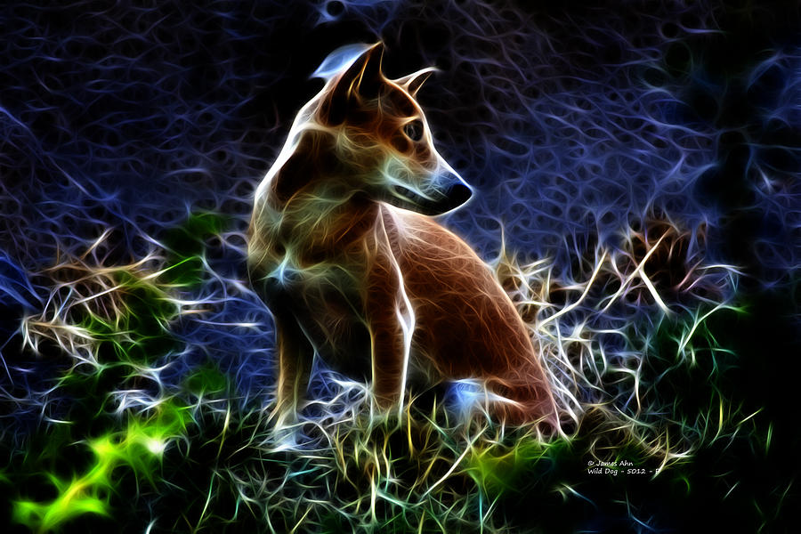 Wild Dog 5012 - F Digital Art by James Ahn