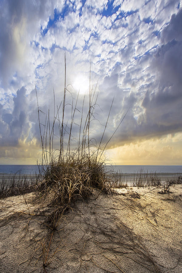 Beach Photograph - Wild Dunes by Debra and Dave Vanderlaan