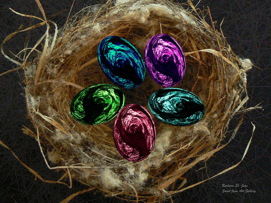 Wild Eggs in my Nest Digital Art by Barbara St Jean