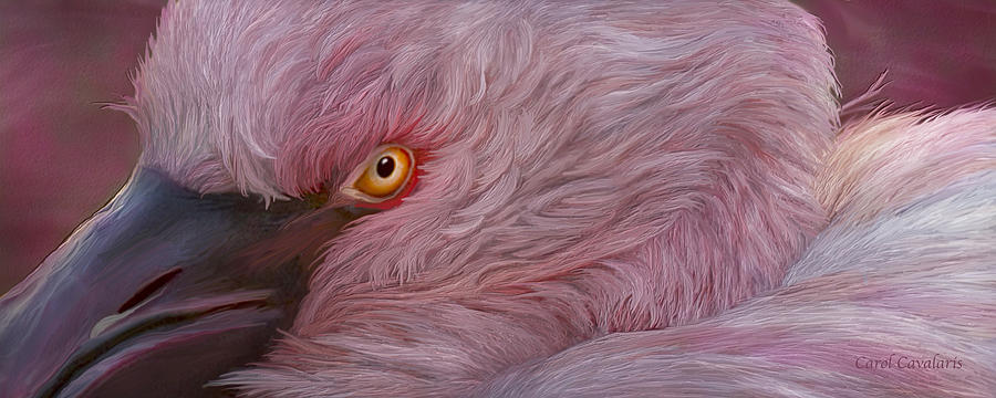 Wild Eyes - Flamingo Mixed Media by Carol Cavalaris