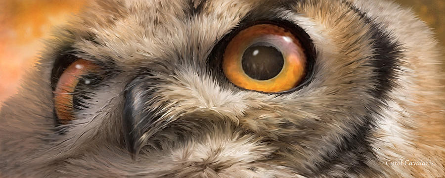 Wild Eyes - Owl Mixed Media by Carol Cavalaris