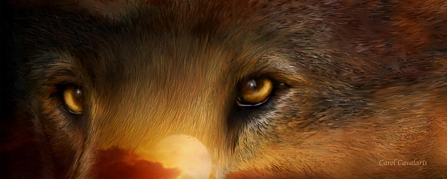 Wild Eyes - Red Wolf Mixed Media by Carol Cavalaris