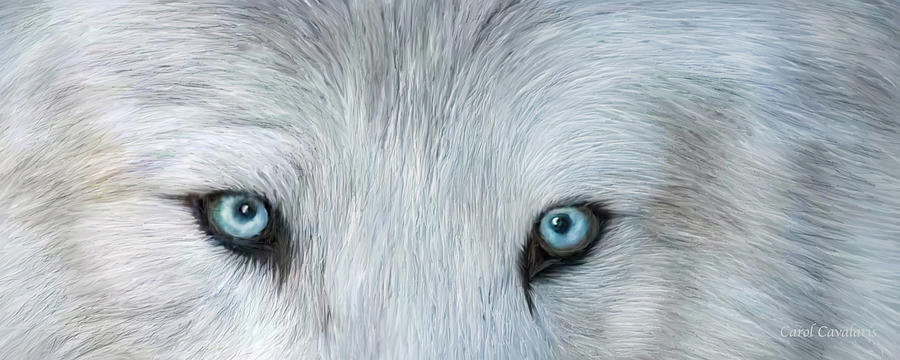 Wild Eyes - White Wolf Mixed Media by Carol Cavalaris