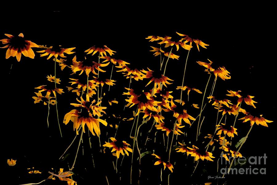 Wild flower abstract  Photograph by Yumi Johnson