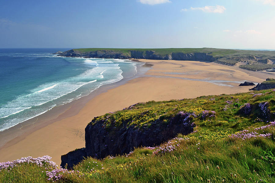 Wild Flower Cliffs At Holywell Bay Photograph by Photo By Andrew Boxall