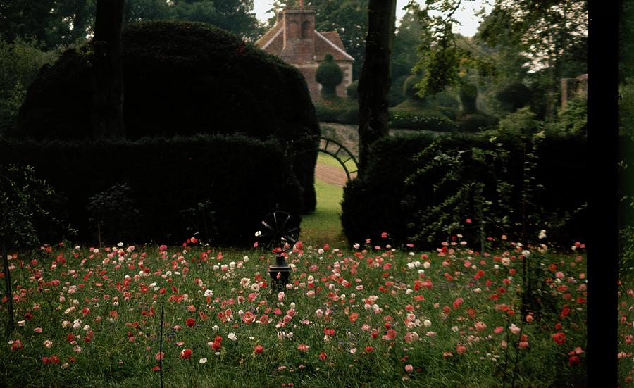Wild Flowers At Reddish House Photograph by Cecil Beaton