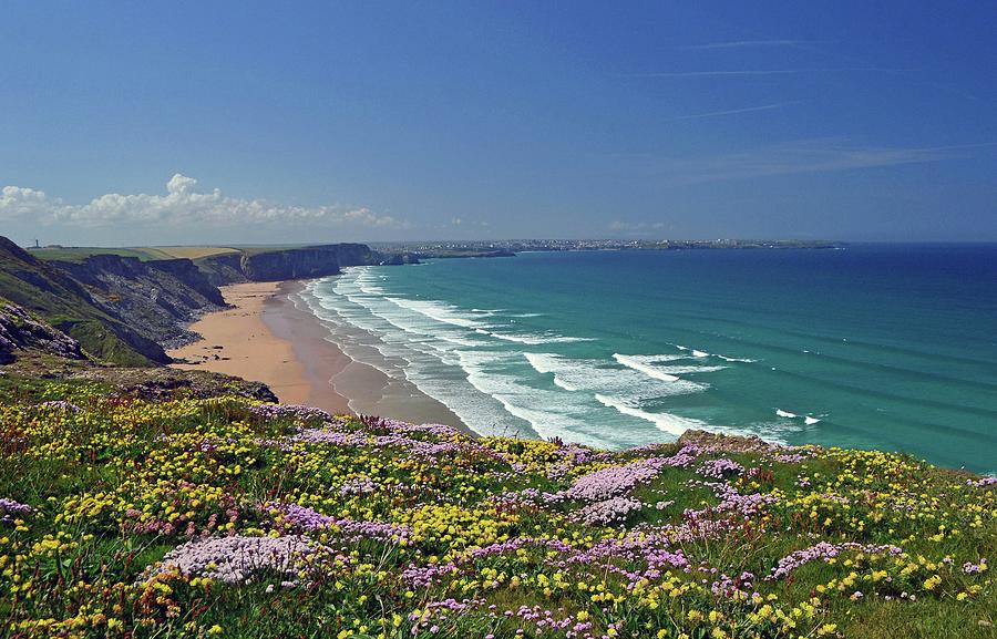 Wild Flowers Cliffs At Watergate Bay Photograph by Photo By Andrew Boxall