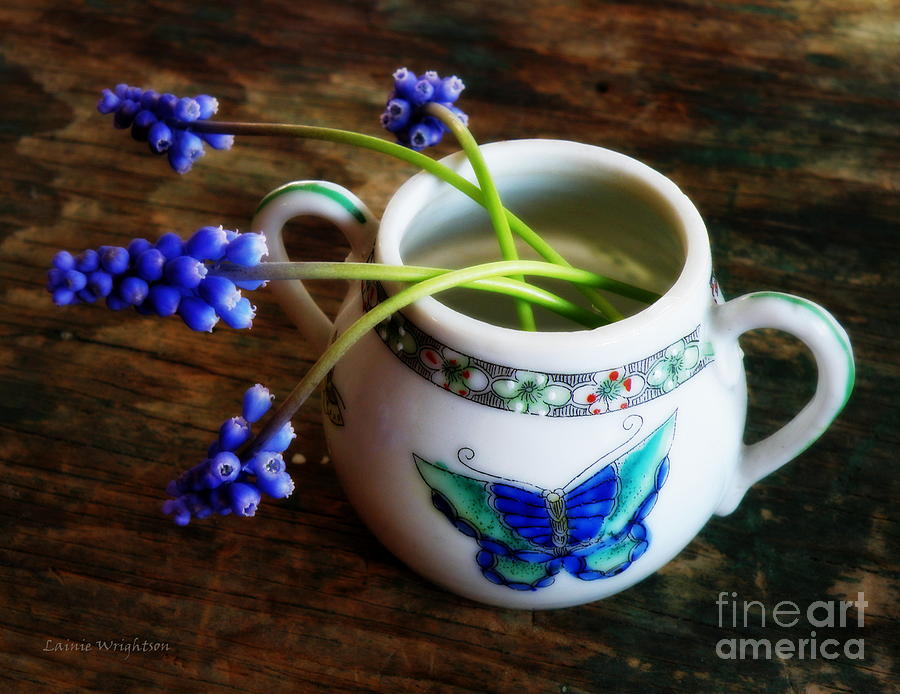 Wild Flowers in Sugar Bowl Photograph by Lainie Wrightson