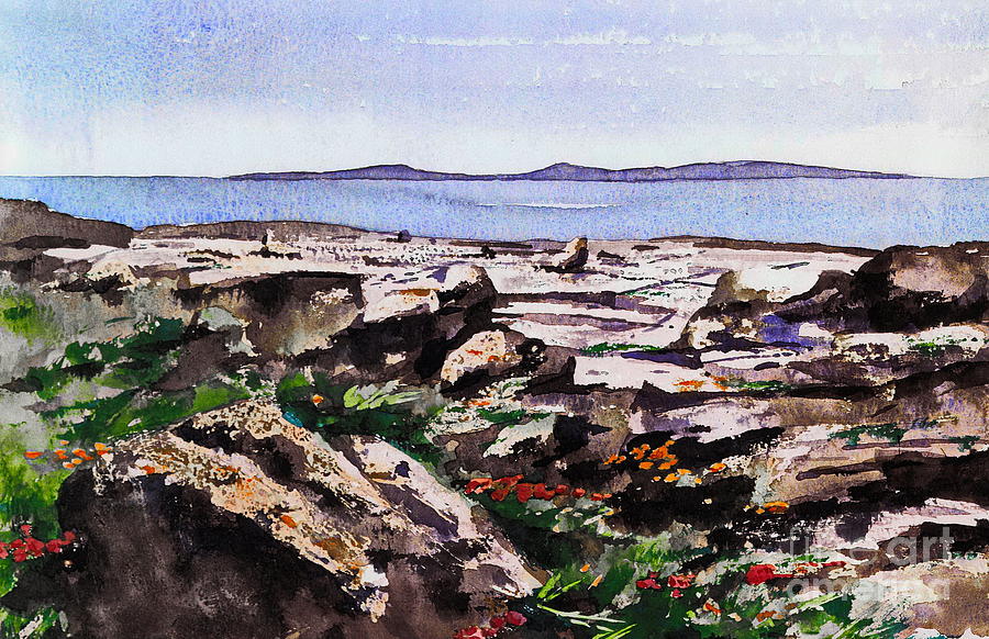 Wild Flowers in the Burren  Clare Painting by Val Byrne