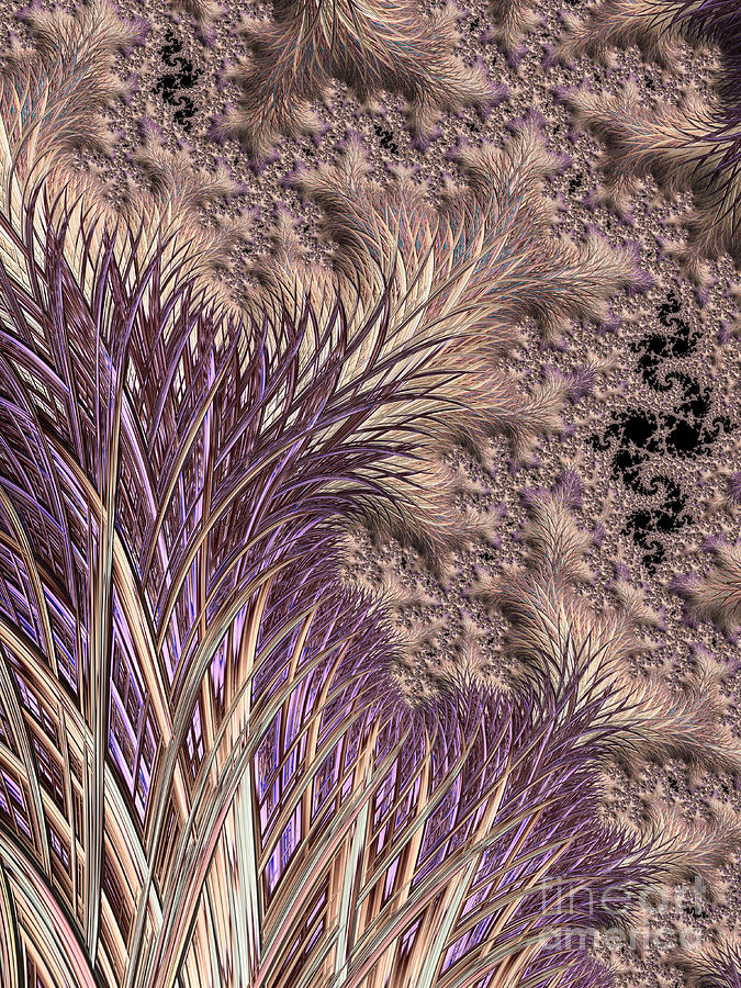 Wild Grasses Blowing In The Breeze  Digital Art by Heidi Smith