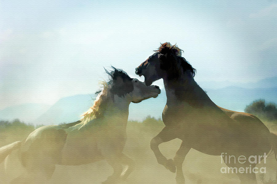 Wild Horses - Art Photograph