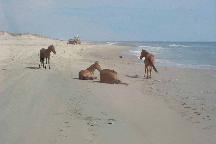 Wild Horses on the beach Photograph by Tracy Winter