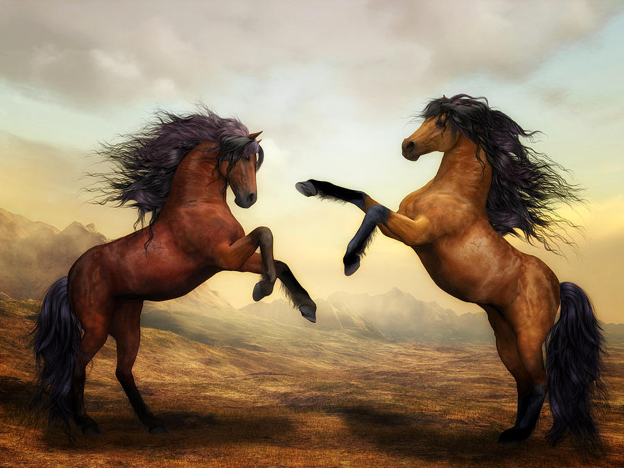 Horse Digital Art - Wild Horses by Susann Paehlike