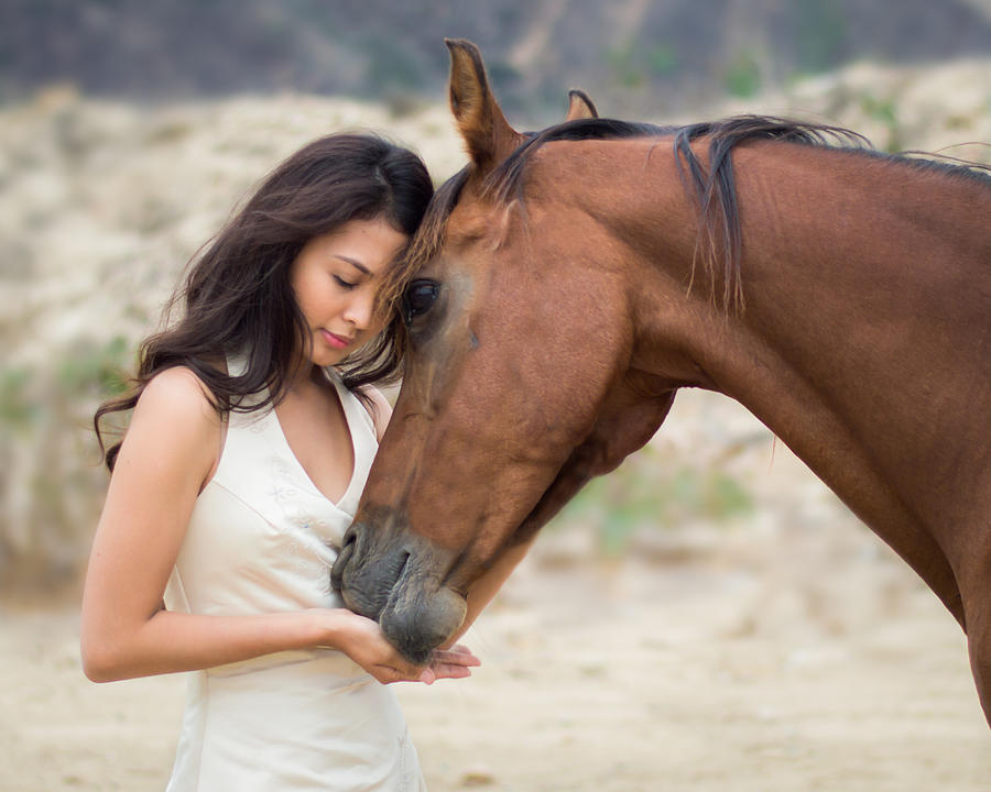 Horse Photograph - Wild Humanity Daisy the Arabian Horse II by Hanh Doan