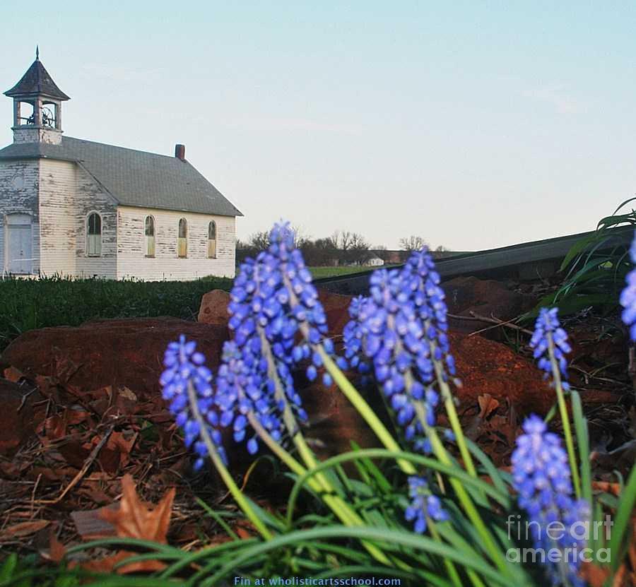 Wild Hyacinths Country Church Photograph by PainterArtist FIN
