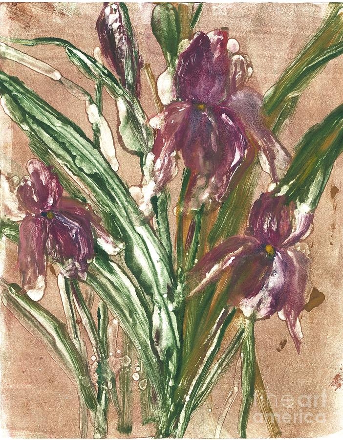 Wild Iris Painting by Sherry Harradence
