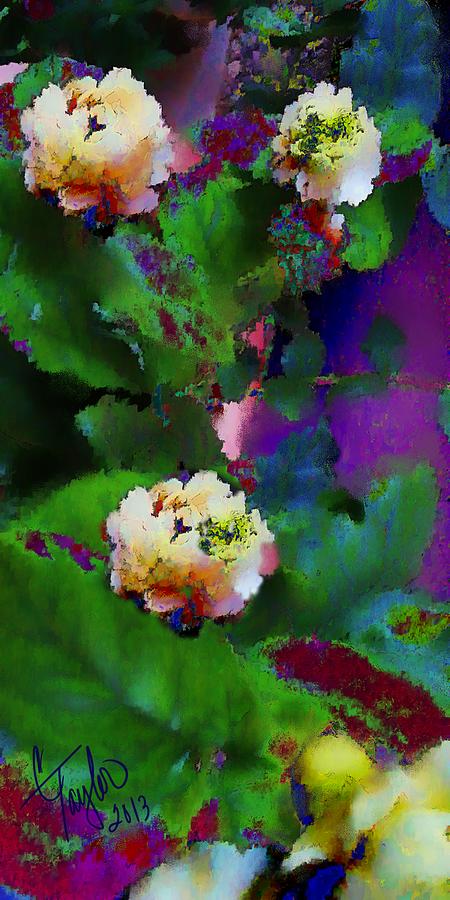 Wild Jasmine Digital Art by Colleen Taylor