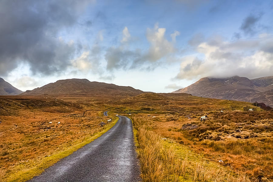 Wild Landscape of Connemara Ireland Photograph by Mark Tisdale