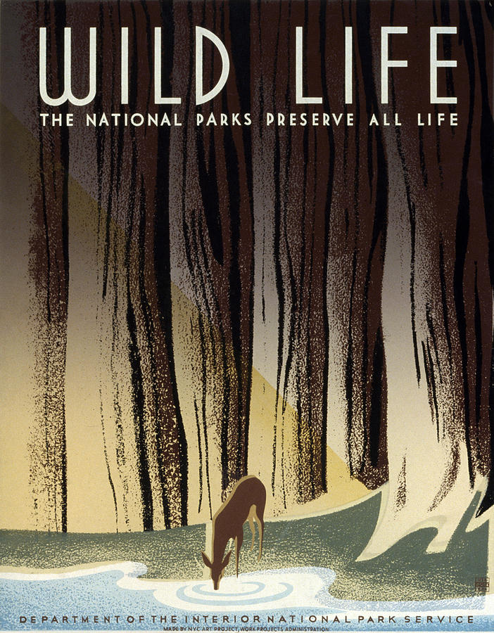 WILD LIFE POSTER, c1940 Photograph by Granger