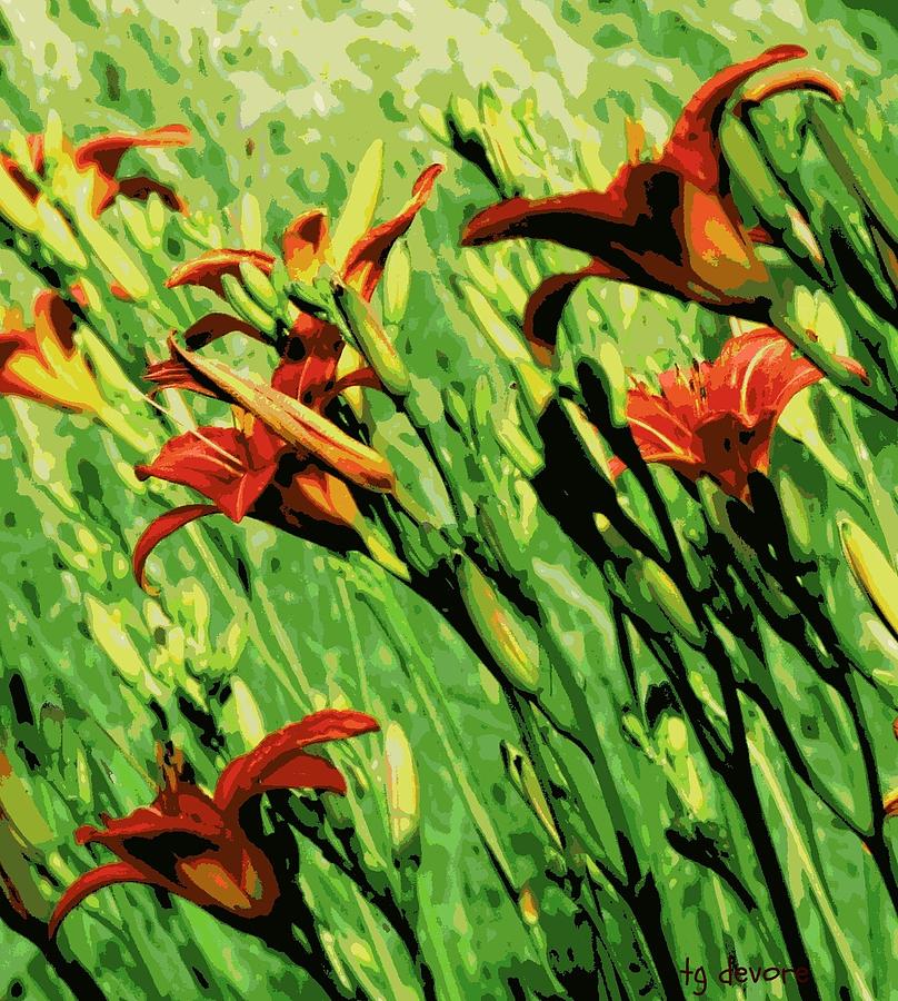 Wild Lilies Digital Art by Tg Devore