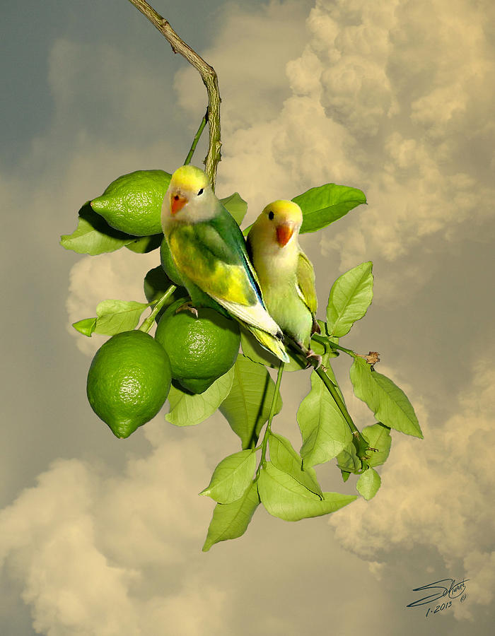 Wild Lovebirds of Florida Digital Art by M Spadecaller