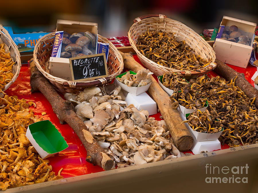 Paris Photograph - Wild Mushrooms for Sale by Louise Heusinkveld
