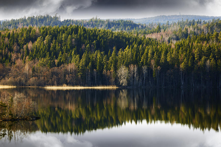 Wild Nature Mirrored In A Calm Lake Photograph by Christian Lagereek