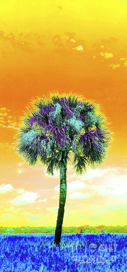 Wild Palm 5 Digital Art by John Douglas