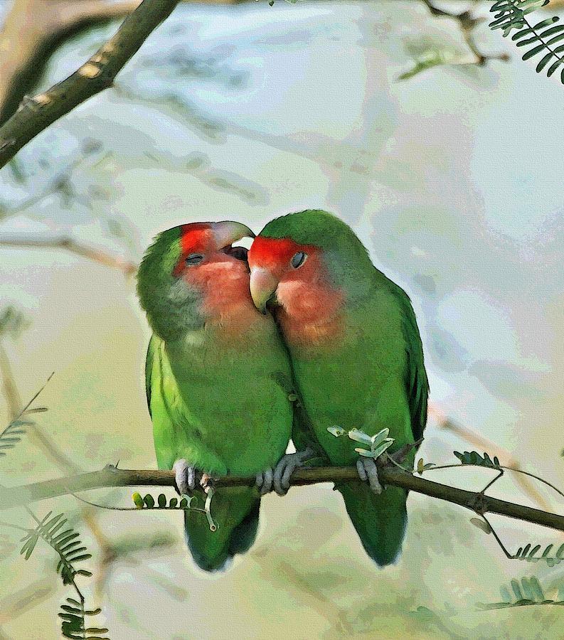 Whispers Photograph - Wild Peach Face Love Bird Whispers by Tom Janca