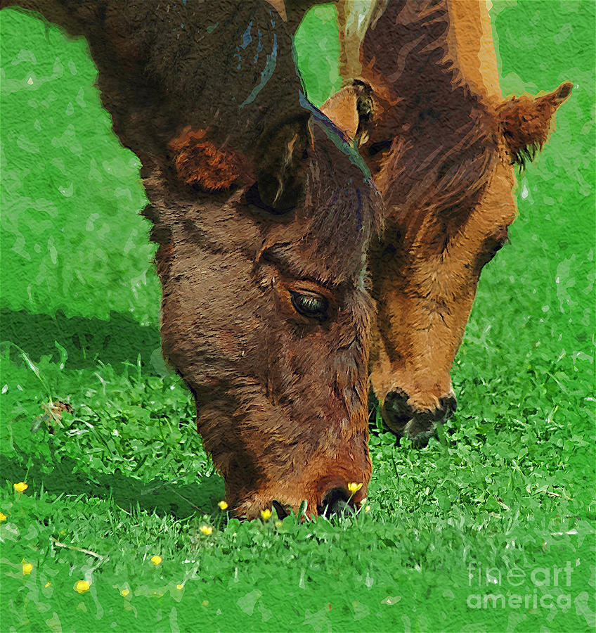 Horse Digital Art - Wild Ponies by Margie Middleton